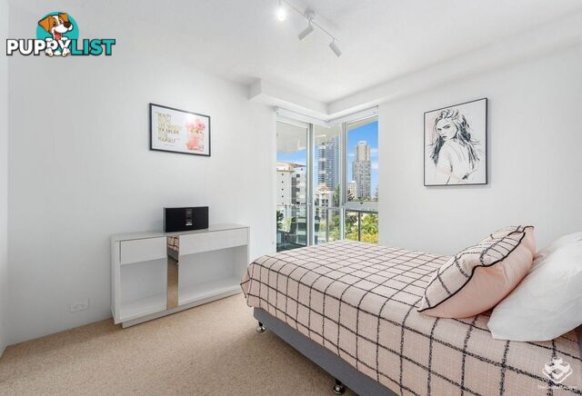 ID:21146622 40 Riverview Parade Surfers Paradise QLD 4217