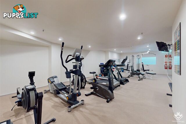 ID:21146622 40 Riverview Parade Surfers Paradise QLD 4217