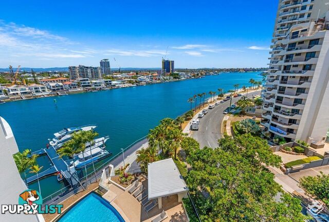 ID:21146622 40 Riverview Parade Surfers Paradise QLD 4217
