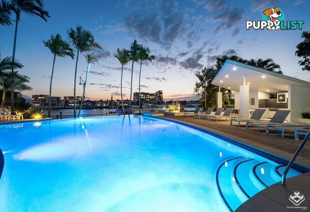 ID:21146622 40 Riverview Parade Surfers Paradise QLD 4217