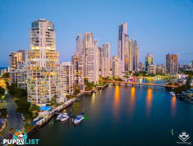 ID:21146622 40 Riverview Parade Surfers Paradise QLD 4217