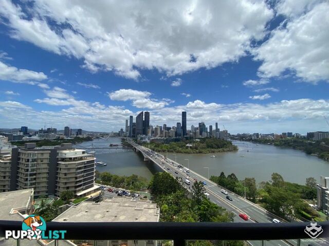 U84/260 Vulture Street South Brisbane QLD 4101