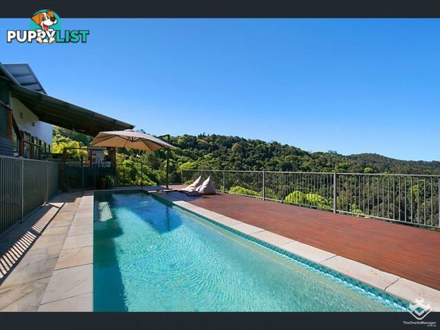 591C Trees Road Tallebudgera QLD 4228