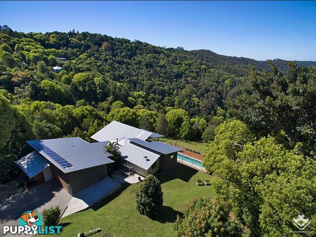 591C Trees Road Tallebudgera QLD 4228