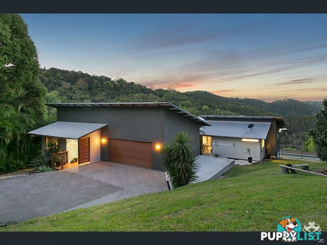 591C Trees Road Tallebudgera QLD 4228
