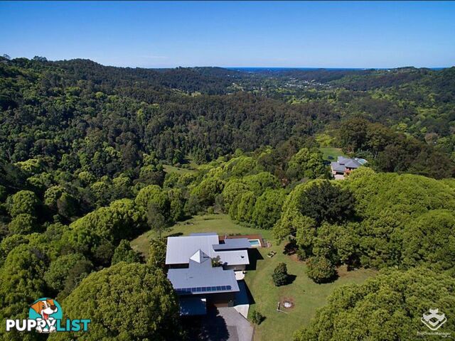 591C Trees Road Tallebudgera QLD 4228
