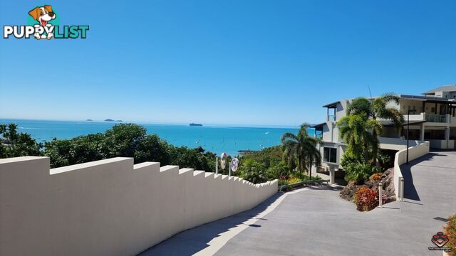 ID:21118496/25 Horizons Way Airlie Beach QLD 4802