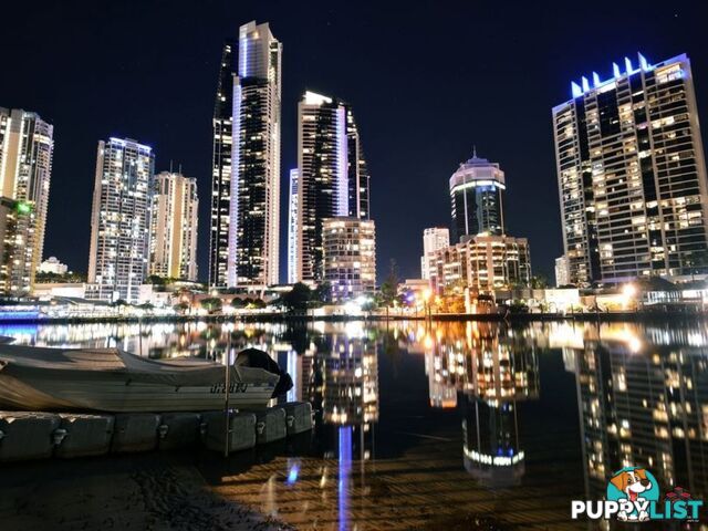 ID:3847697/13 Stanhill Drive Surfers Paradise QLD 4217