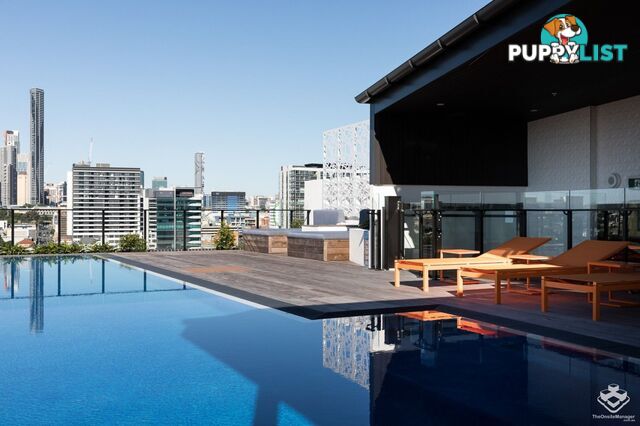 003 / 27 Commercial Road Newstead QLD 4006