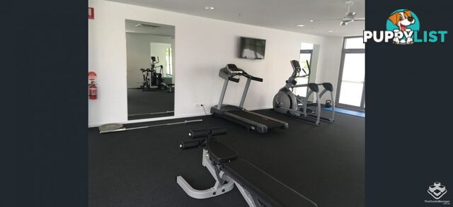 ID:21153117 388 Marine Parade Labrador QLD 4215