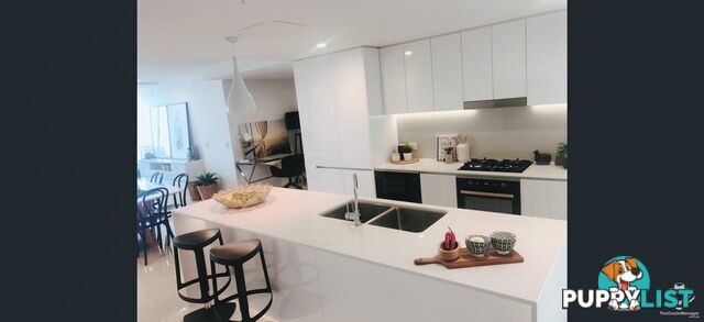 ID:21153117 388 Marine Parade Labrador QLD 4215