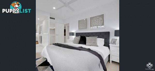 ID:21153117 388 Marine Parade Labrador QLD 4215