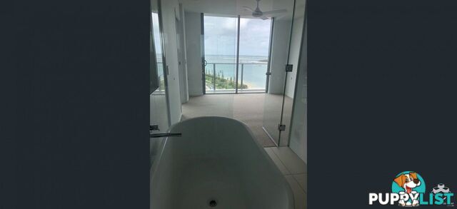 ID:21153117 388 Marine Parade Labrador QLD 4215