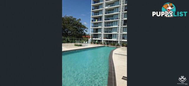ID:21153117 388 Marine Parade Labrador QLD 4215