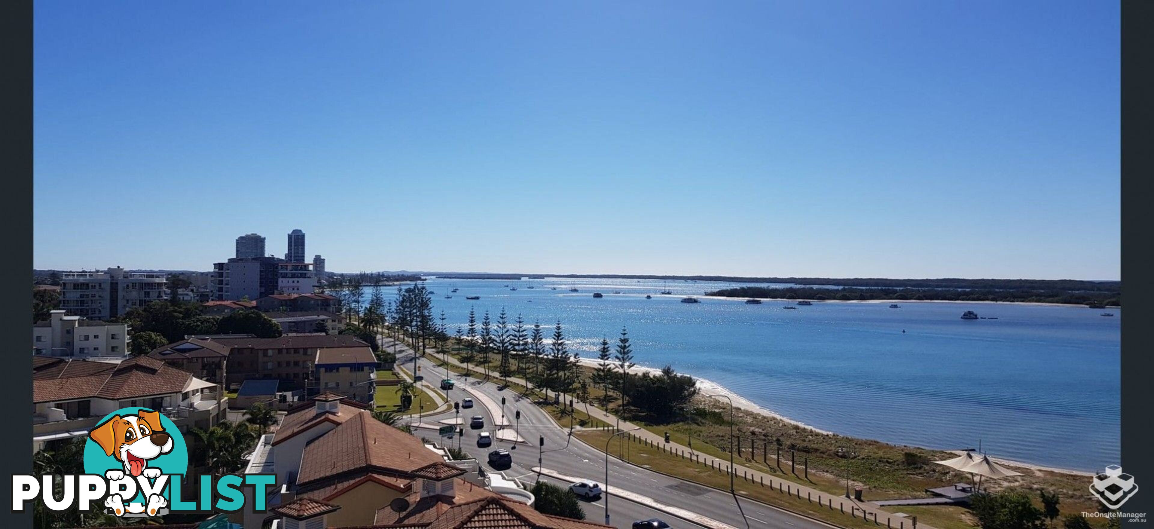 ID:21153117 388 Marine Parade Labrador QLD 4215