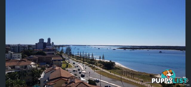 ID:21153117 388 Marine Parade Labrador QLD 4215