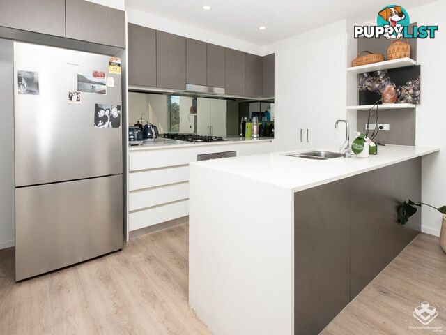 ID:21156067 93 Baines Street Kangaroo Point QLD 4169