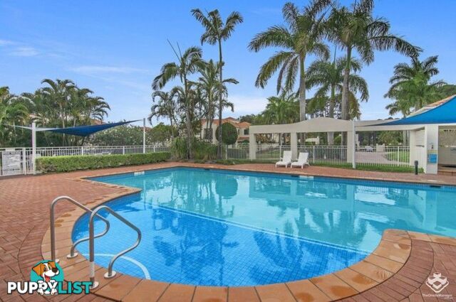 100/60 Caseys Road Hope Island QLD 4212