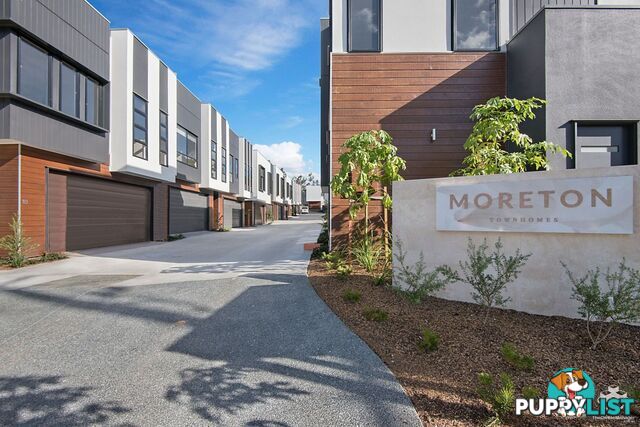 ID:21154099 52 Russell Street Everton Park QLD 4053