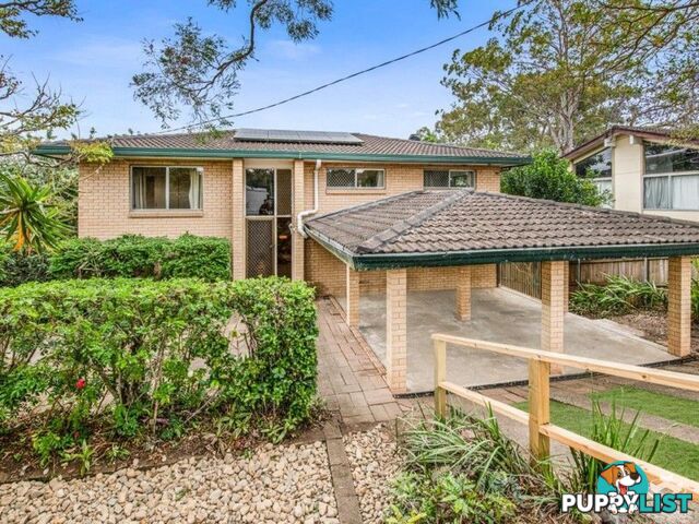 ID:21146183/144 Burbong Street Chapel Hill QLD 4069