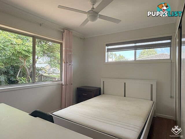 144 Burbong Street Chapel Hill QLD 4069