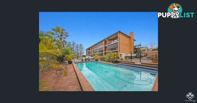ID:21156954 33 Oxlade Drive New Farm QLD 4005