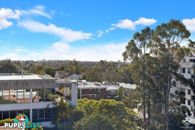 37/23-27 Romsey St Waitara NSW 2077