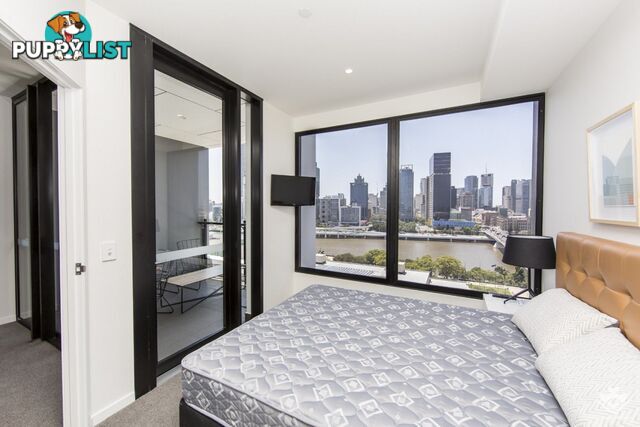 ID:21150466 77 Grey Street South Brisbane QLD 4101
