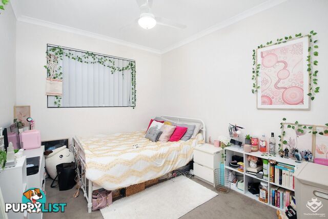 ID:21156836 3 McLennan Court North Lakes QLD 4509