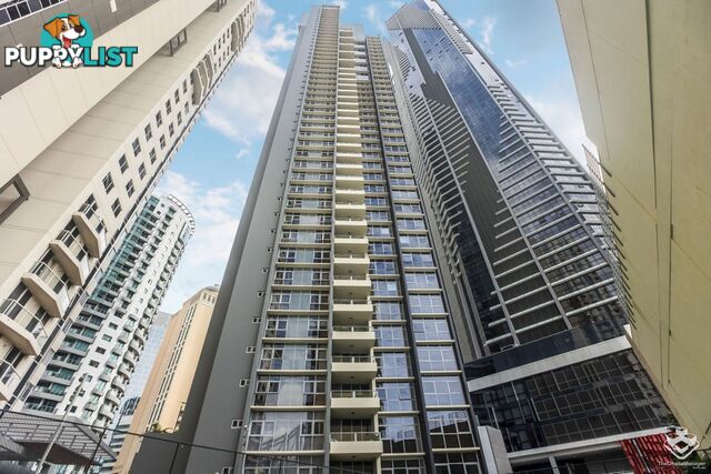 ID:21154335 30 Macrossan Street Brisbane City QLD 4000