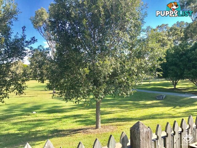 Labrador QLD 4215
