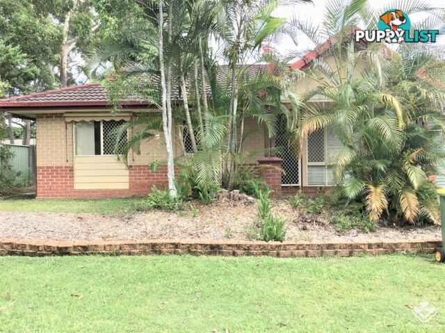 Labrador QLD 4215