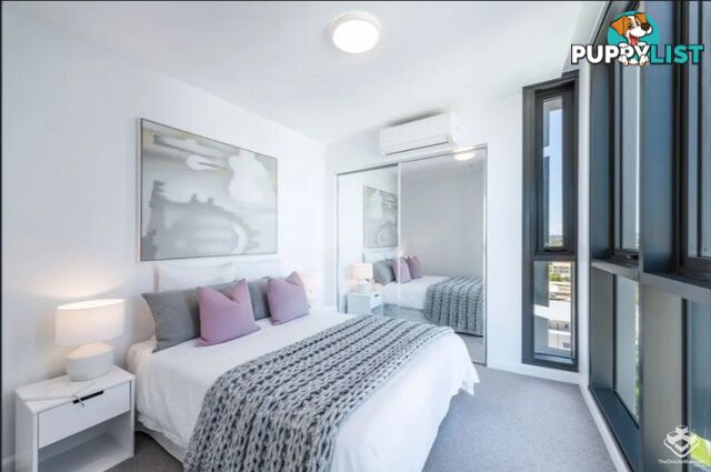 30805/300 Old Cleveland Road Coorparoo QLD 4151