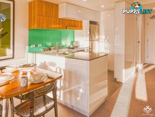 206/113 Commercial Road Teneriffe QLD 4005
