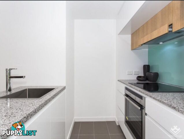 205/113 Commercial Teneriffe QLD 4005