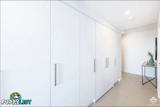 30805/300 Old Cleveland Road Coorparoo QLD 4151