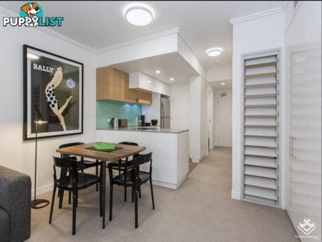 607/113 Commercial Road Teneriffe QLD 4005