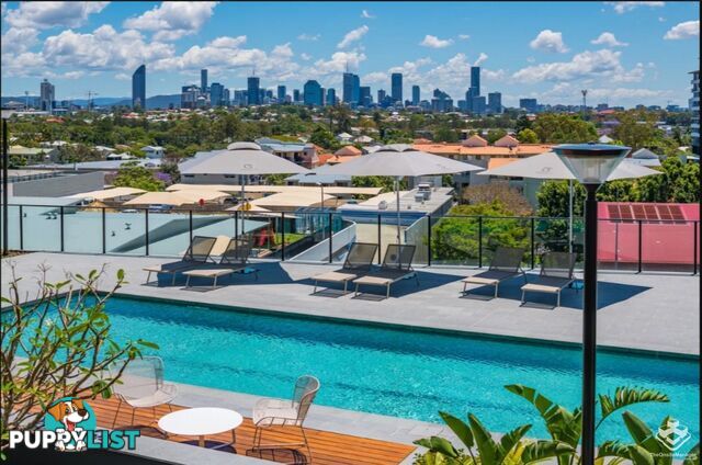 30805/300 Old Cleveland Road Coorparoo QLD 4151