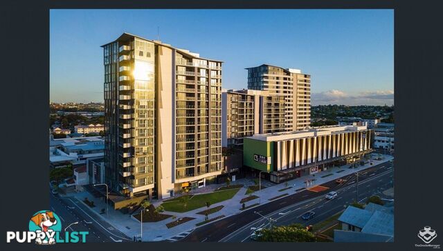 30805/300 Old Cleveland Road Coorparoo QLD 4151
