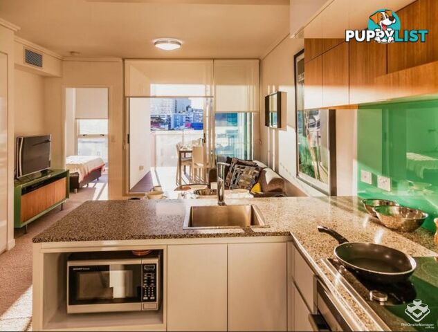 206/113 Commercial Road Teneriffe QLD 4005