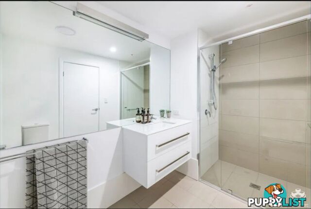 30805/300 Old Cleveland Road Coorparoo QLD 4151