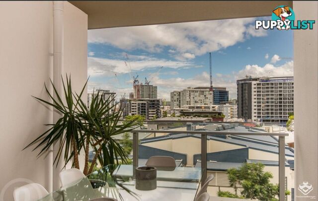 607/113 Commercial Road Teneriffe QLD 4005