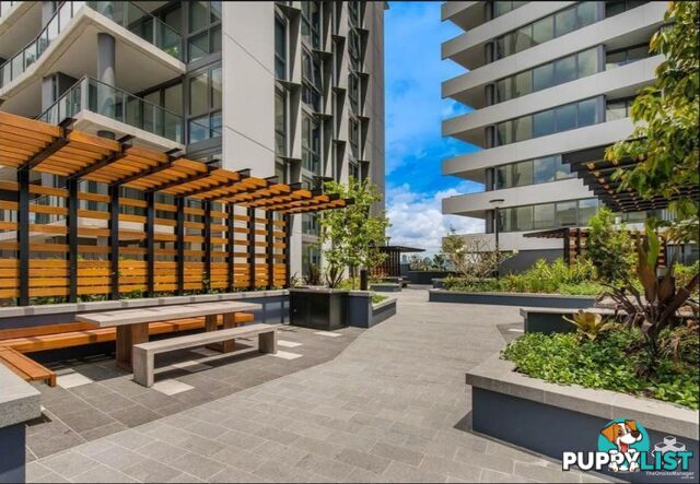 30805/300 Old Cleveland Road Coorparoo QLD 4151