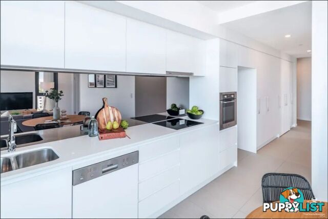 30805/300 Old Cleveland Road Coorparoo QLD 4151