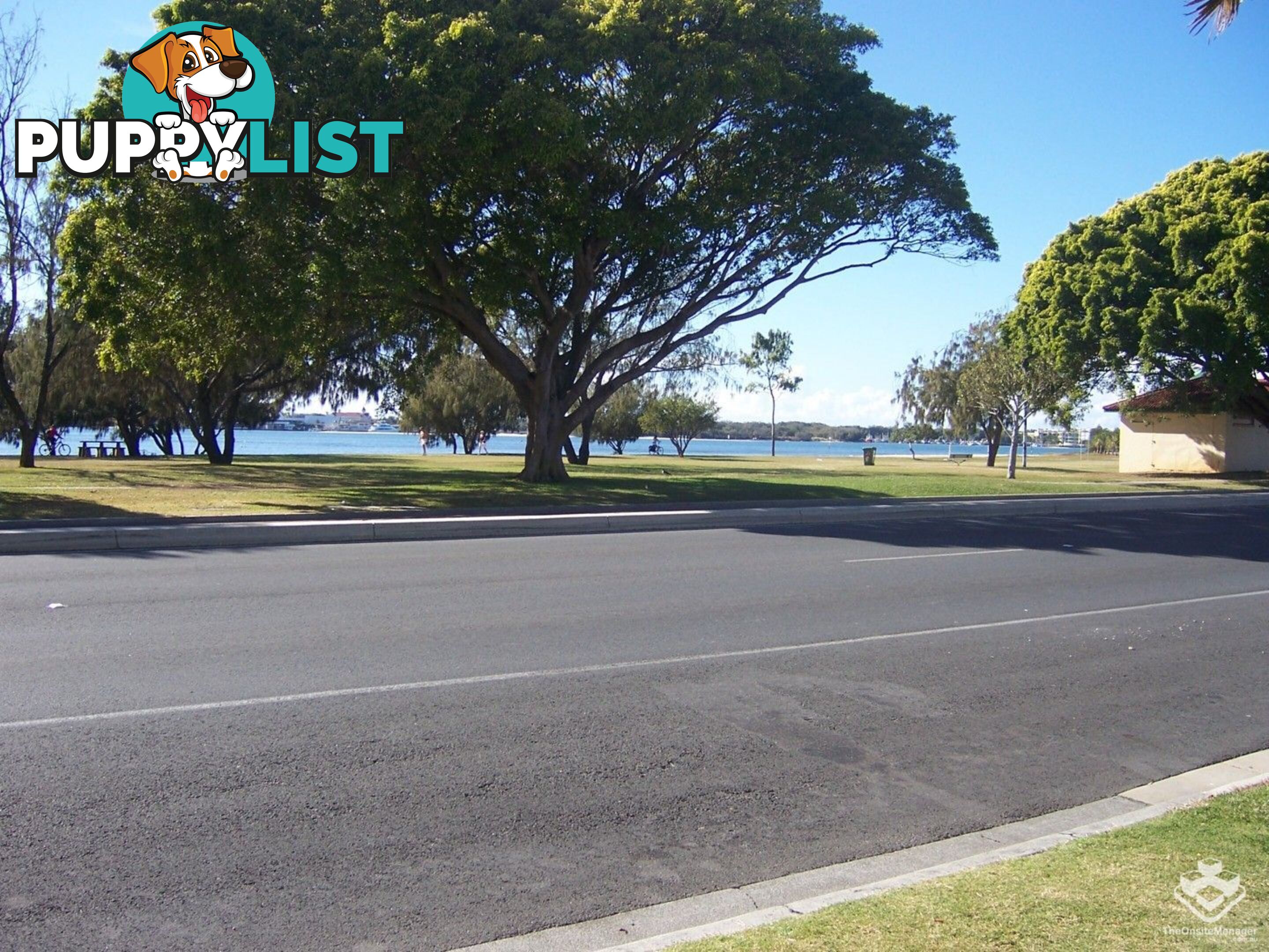 ID:21143369/3-5 Norman Street Southport QLD 4215