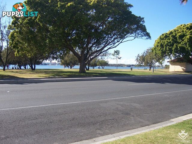 ID:21143369/3-5 Norman Street Southport QLD 4215