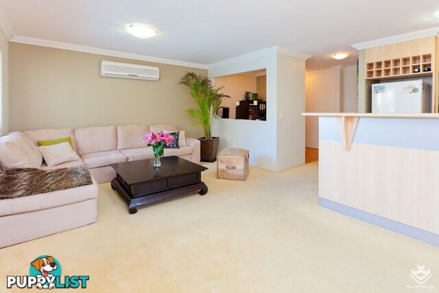 ID:21125031 68 Beeston Street Teneriffe QLD 4005