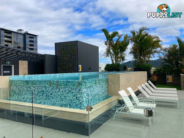 602 / 24 Augustus Street Toowong QLD 4066