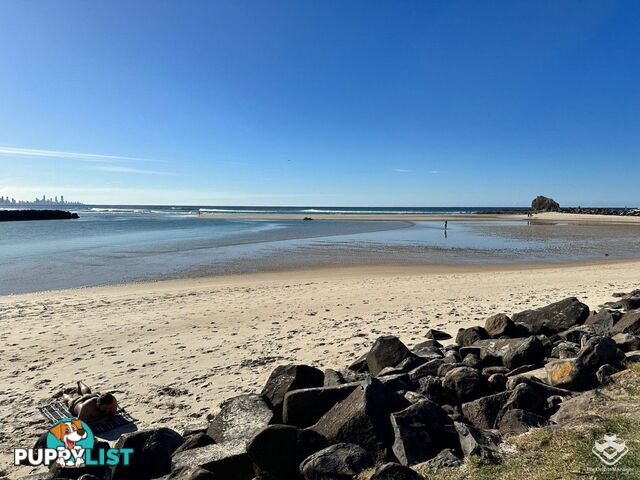 1/24 Panorama Drive Currumbin QLD 4223