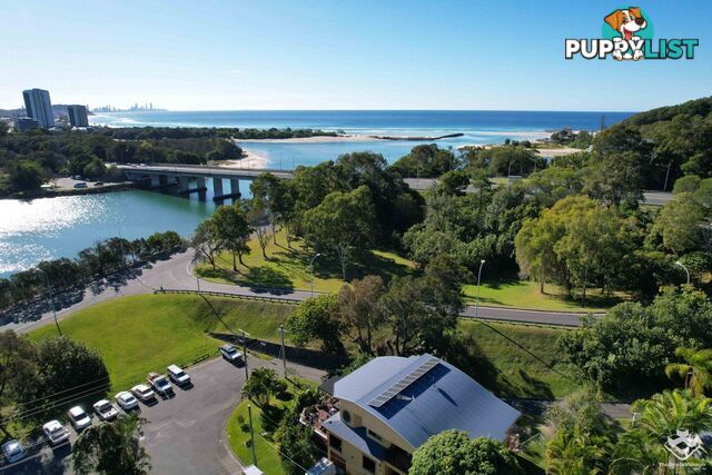 1/24 Panorama Drive Currumbin QLD 4223